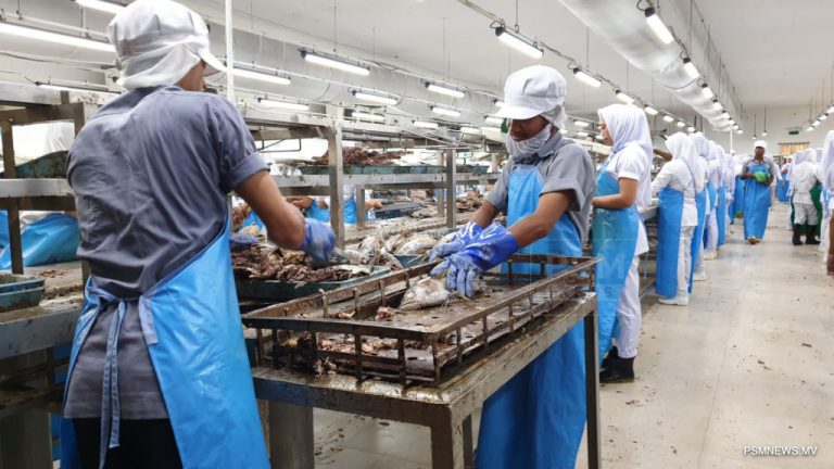 Gov’t aims to increase fish processing capacity to 9-fold in 3 years